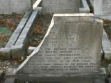 image of grave number 50528